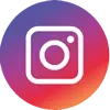 instagramIcon